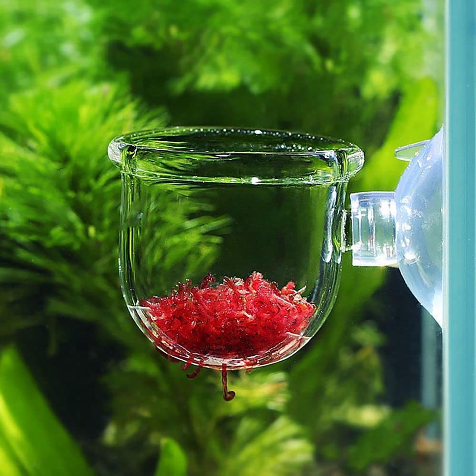 Aquarium Planted Seeds - حوض السمك وعاء النبات كوب اسطوانة
