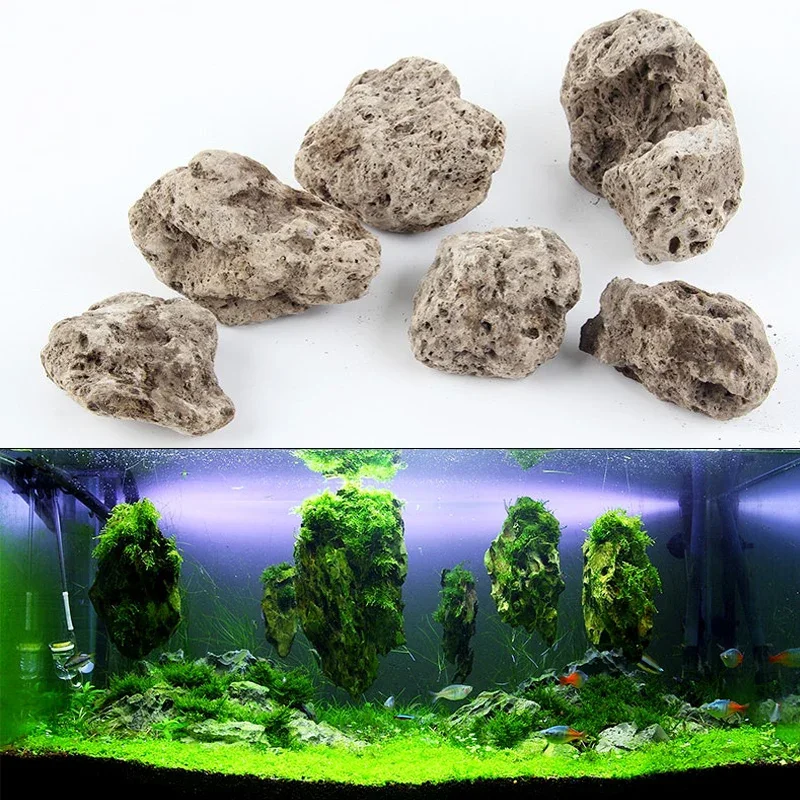 Aquarium Plants For Sale - حوض أسماك صخور حقيقية عائمة ،
