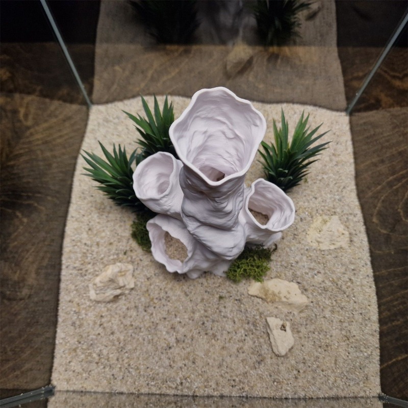 Aquarium Plants For Sale - عرض ساخن: نفق مرجاني ثلاثي الأبعاد