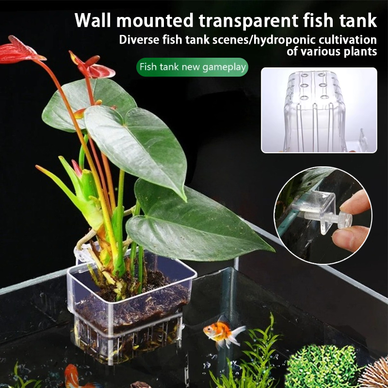 Planted Aquarium Materials - أكواب زرع معلقة للأحواض المائية، حامل