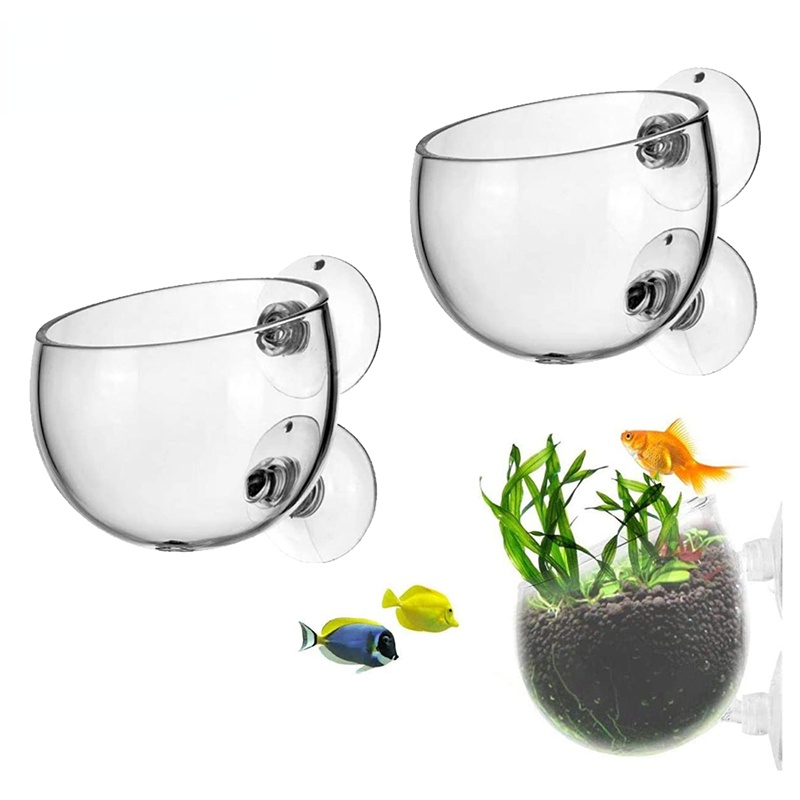 Aquarium Planted Seeds - جديد حوض السمك وعاء النبات كوب