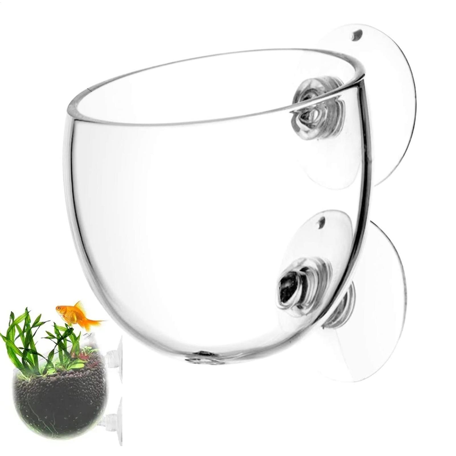 Aquarium Plant Dip - وعاء زجاجي للنباتات المائية مع أكواب