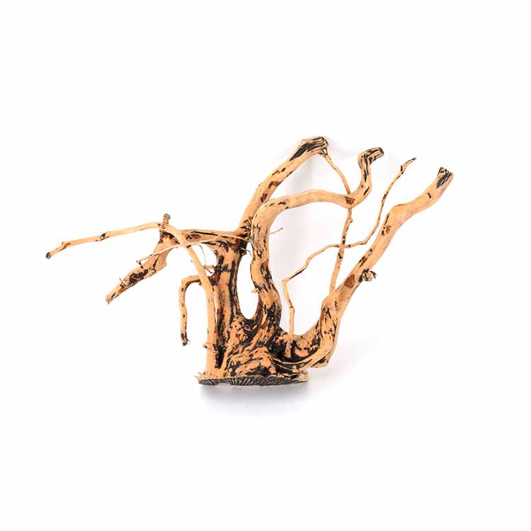 Aquarium Plants For Sale - بيع بالجملة للزينة الطبيعية لحوض السمك،