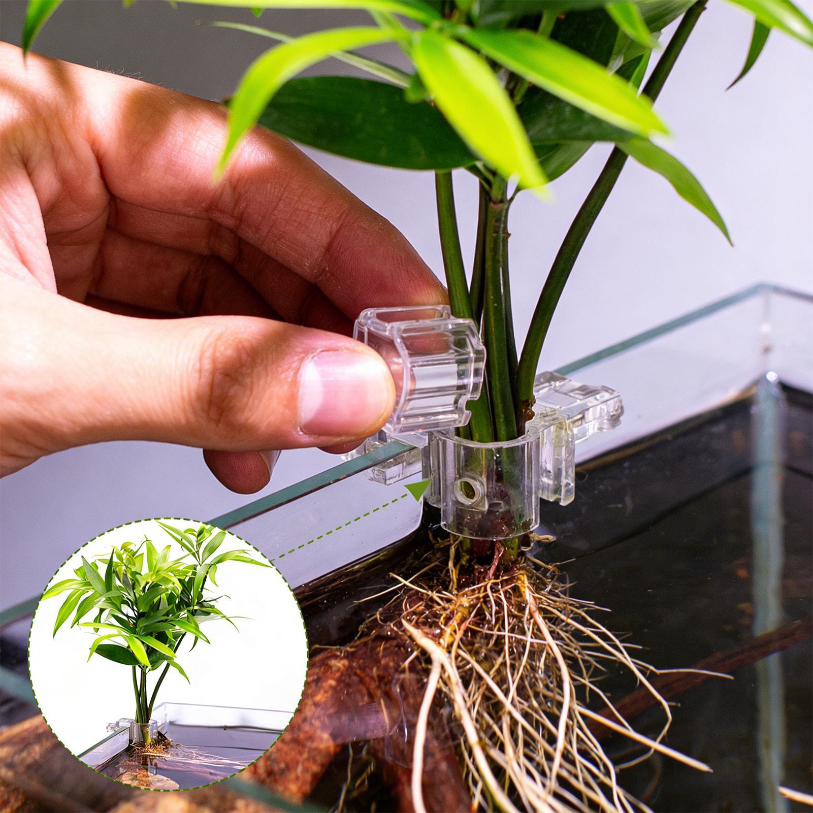 Planted Aquarium Materials - 6 قطع حاملات نباتات للأحواض المائية،