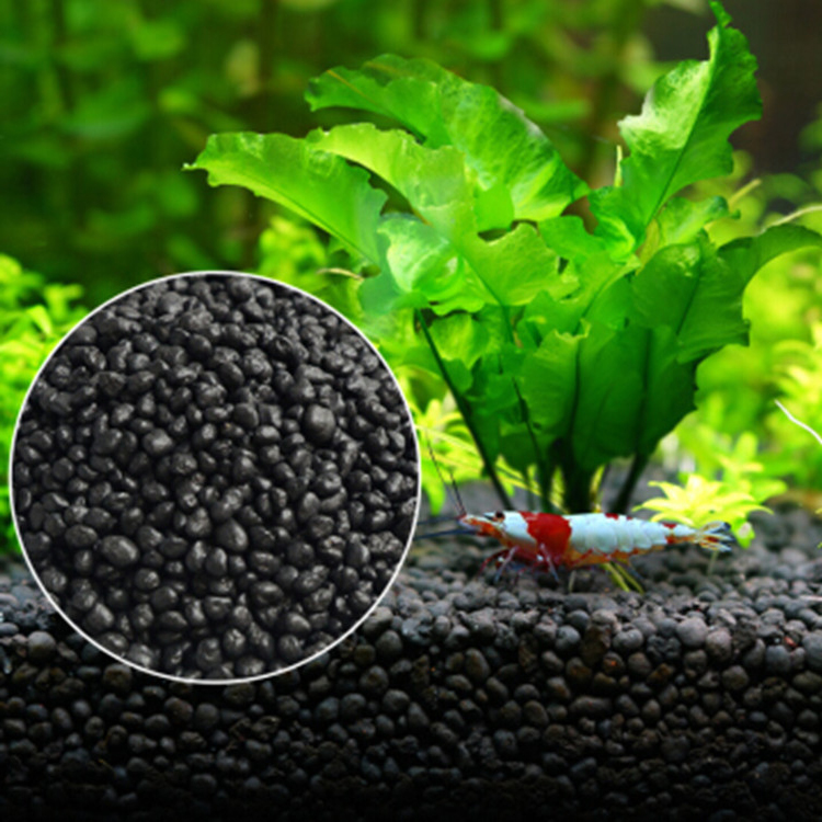 Aquarium Plant Grass - نباتات أحواض السمك ، التربة ،