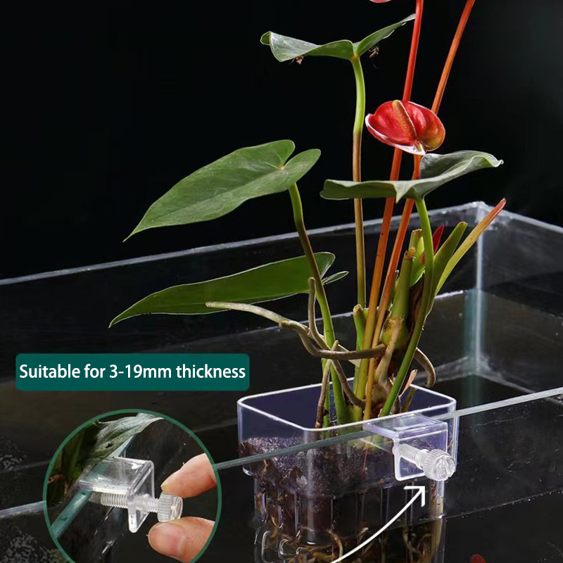 Aquarium Plant Grass - حوض السمك متعدد الوظائف ، كوب