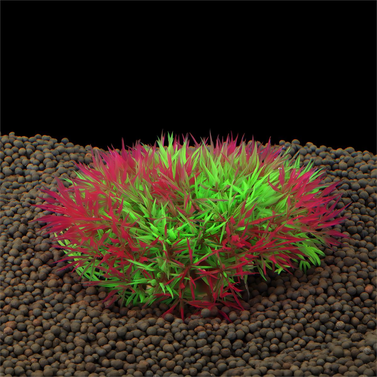 عشب مائي اصطناعي لتزيين أحواض  - مراجعة Planted Aquarium Materials وسعره