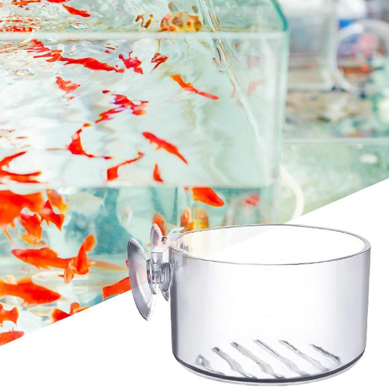 وعاء نبات حوض السمك كوب اسطوان - مراجعة Aquarium Planted Seeds وسعره