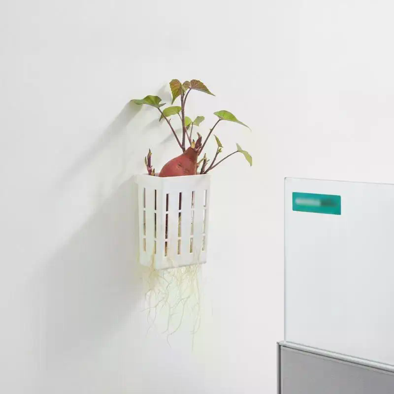 1 قطعة سلة دعم للزراعة المائية - مراجعة Aquarium Plant Grass وسعره