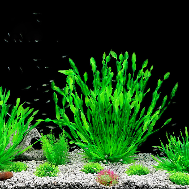 نباتات اصطناعية خضراء للأحواض  - مراجعة Aquarium Planted Seeds وسعره