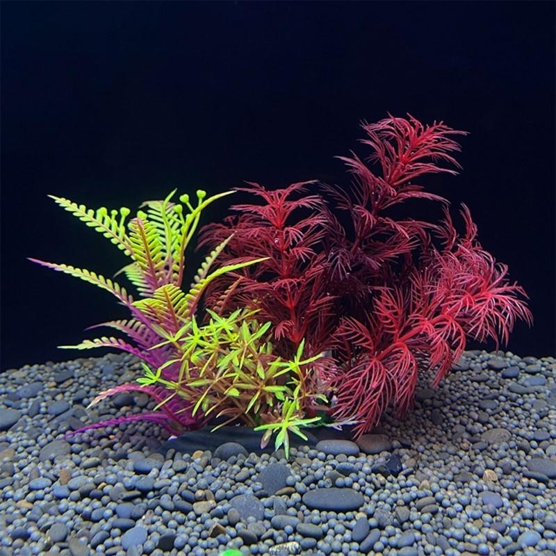 حوض السمك الاصطناعي الديكور نب - مراجعة Aquarium Plants For Sale وسعره
