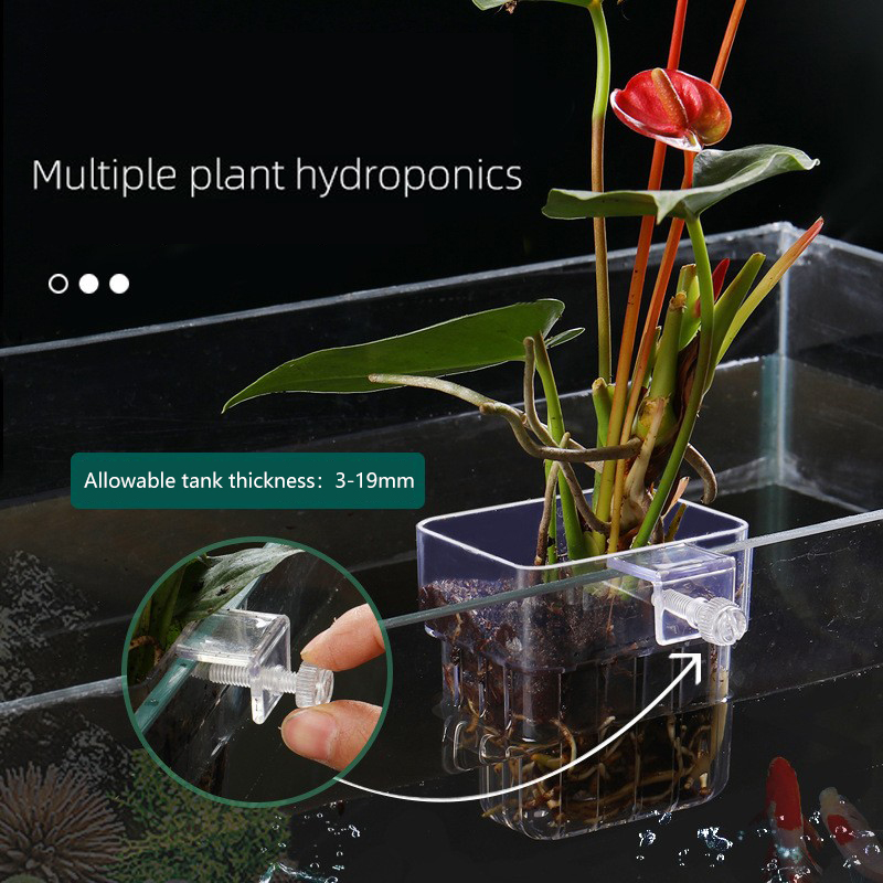 1 قطعة حوض السمك سلة النباتات  - مراجعة Aquarium Planted Seeds وسعره