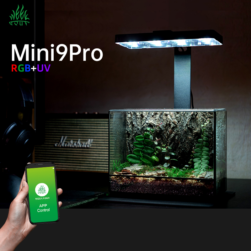 مصباح نانو تيراريوم ميني 9 برو - مراجعة Aquarium Plants For Sale وسعره
