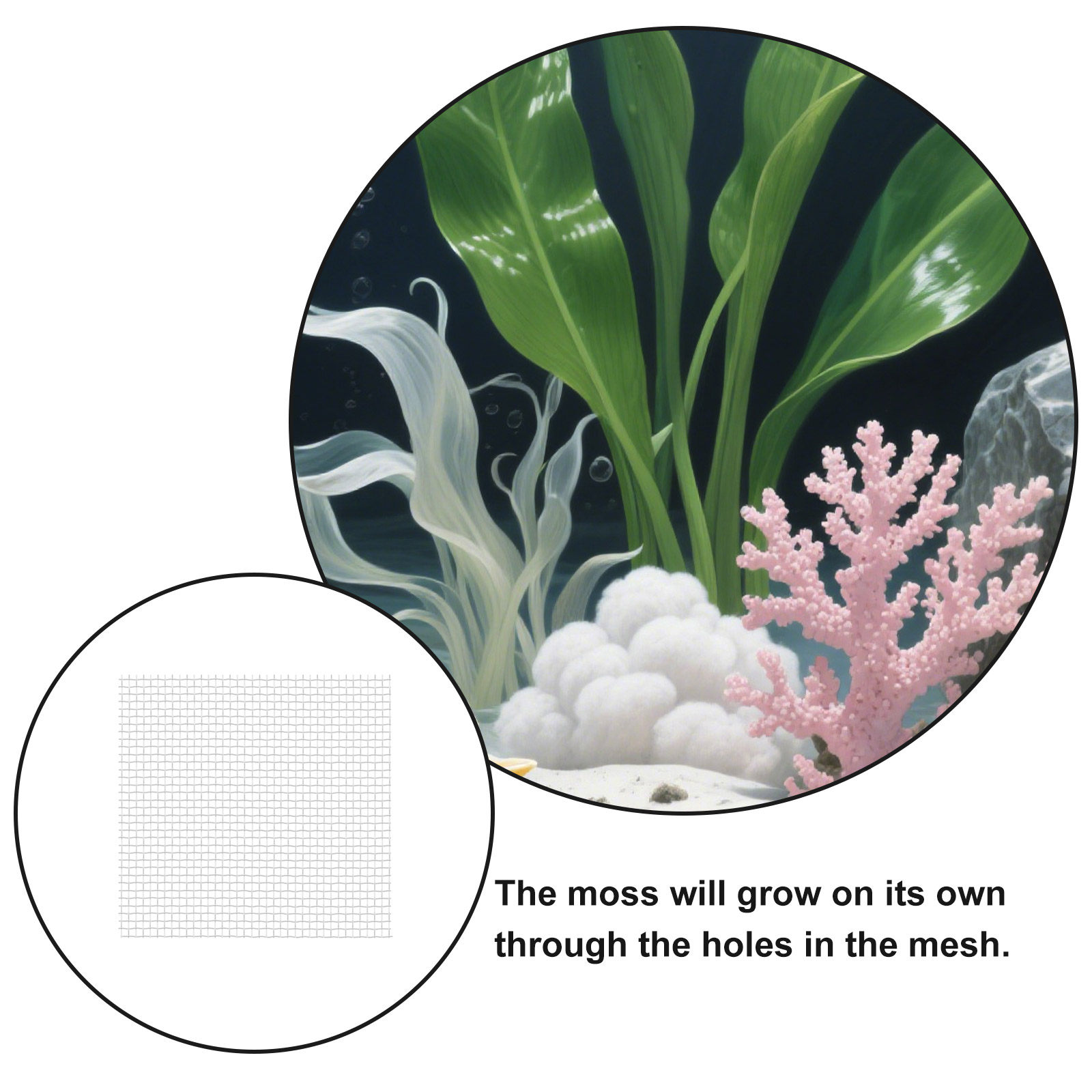 12 قطعة من شبكة الأسلاك المصنو - مراجعة Aquarium Planted Tank Setup وسعره