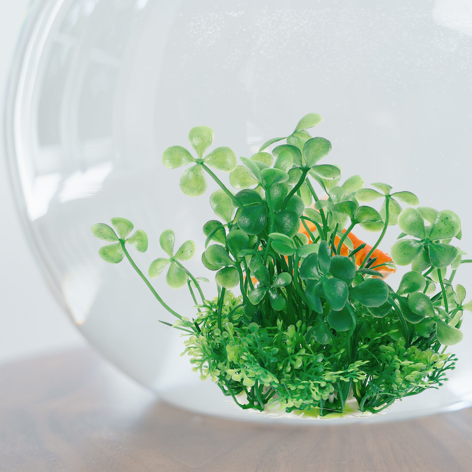 نباتات اصطناعية بلاستيكية فاخر - مراجعة Aquarium Planted Tank Setup وسعره