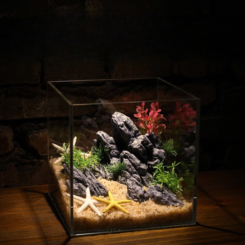 ديكور حوض السمك، صخور اصطناعية - مراجعة Aquarium Planted Tank Setup وسعره