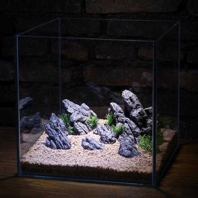 ديكور حوض السمك، صخور اصطناعية - مراجعة Aquarium Planted Tank Setup وسعره