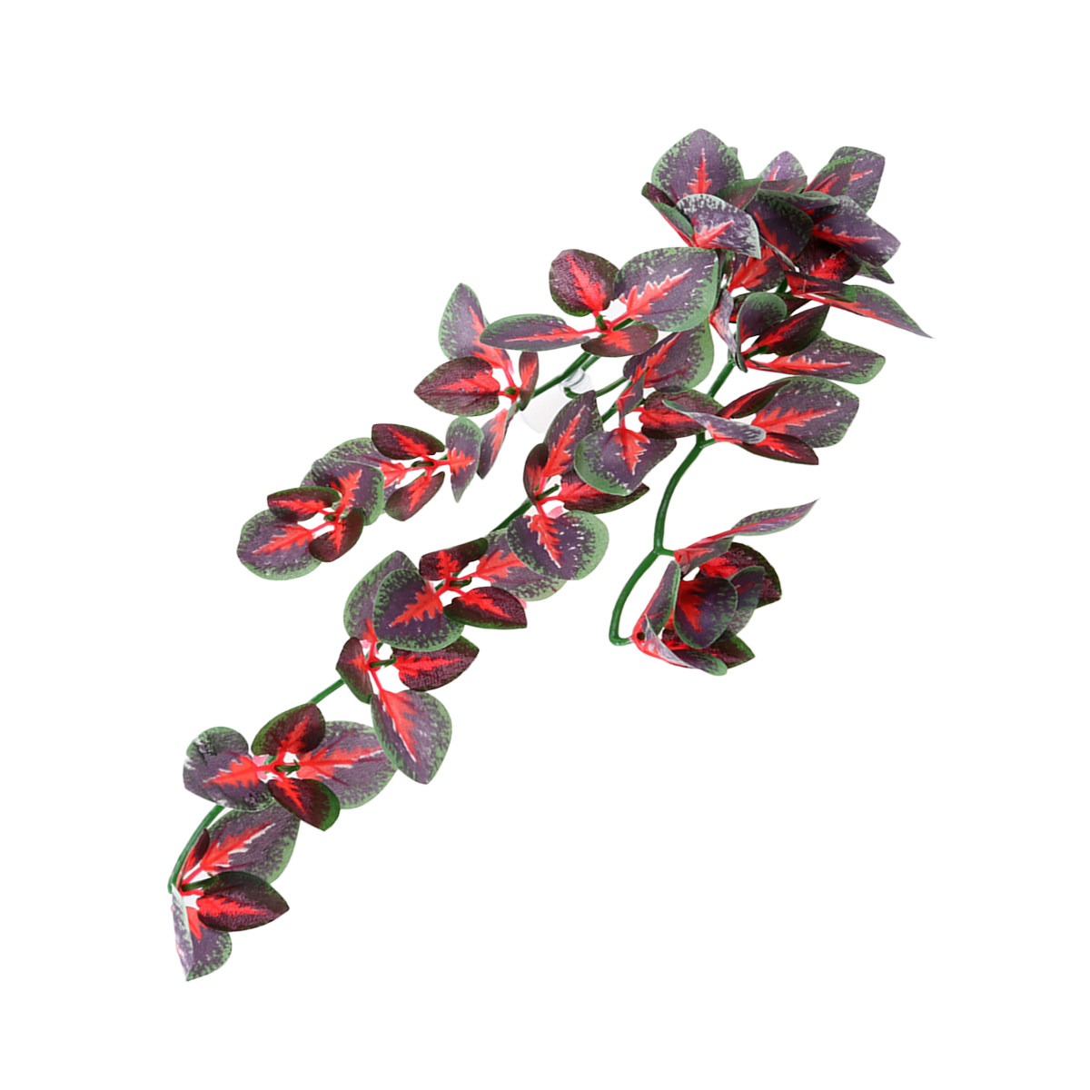زينة حوض السمك، نباتات مائية ا - مراجعة Aquarium Plant Red وسعره