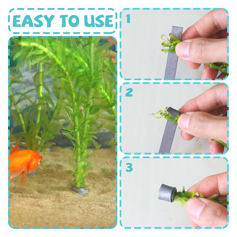 عرض جديد: 10 قطع من أوزان النب - مراجعة Aquarium Plants For Sale وسعره