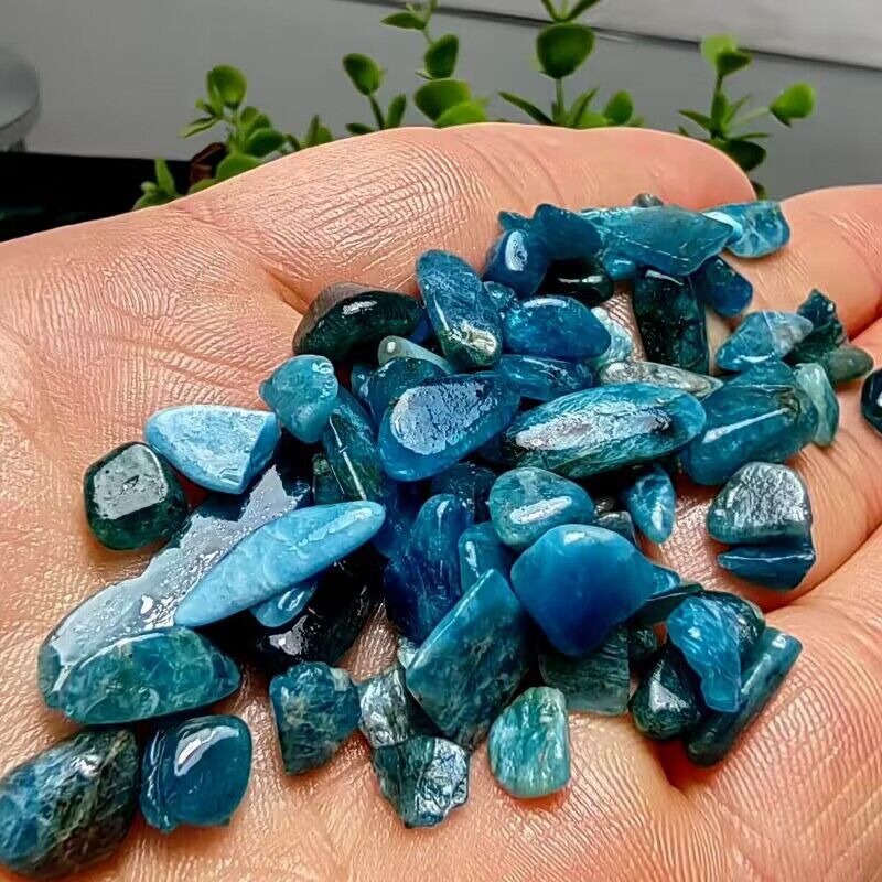 رقائق كريستال الأباتيت الأزرق  - مراجعة Planted Aquarium Materials وسعره