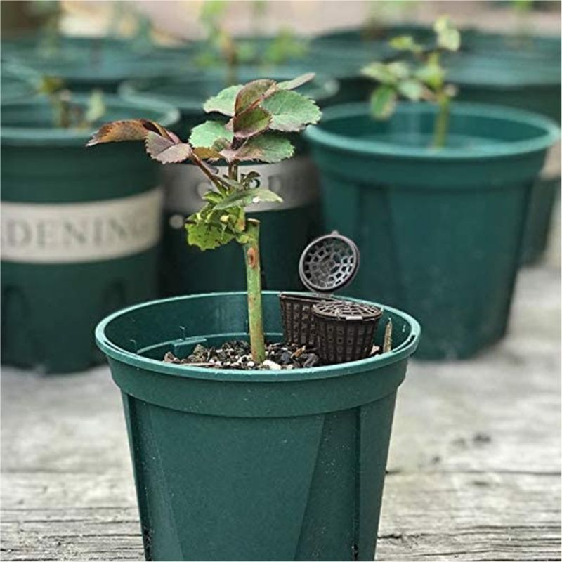 سلال شبكيّة للأسمدة من ABUH-Ga - مراجعة Planted Aquarium Fertilizer وسعره