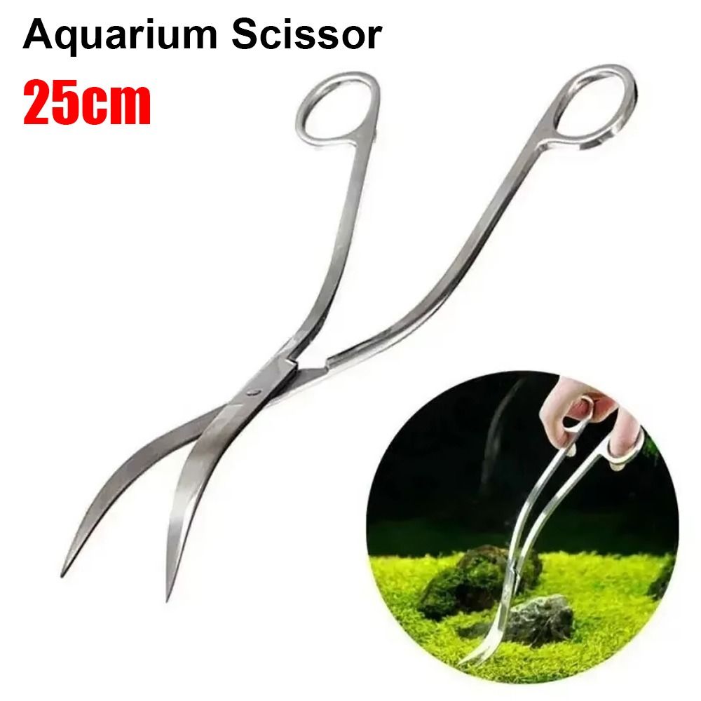 مقص حوض السمك من الفولاذ المقا - مراجعة Aquarium Plant Grass وسعره