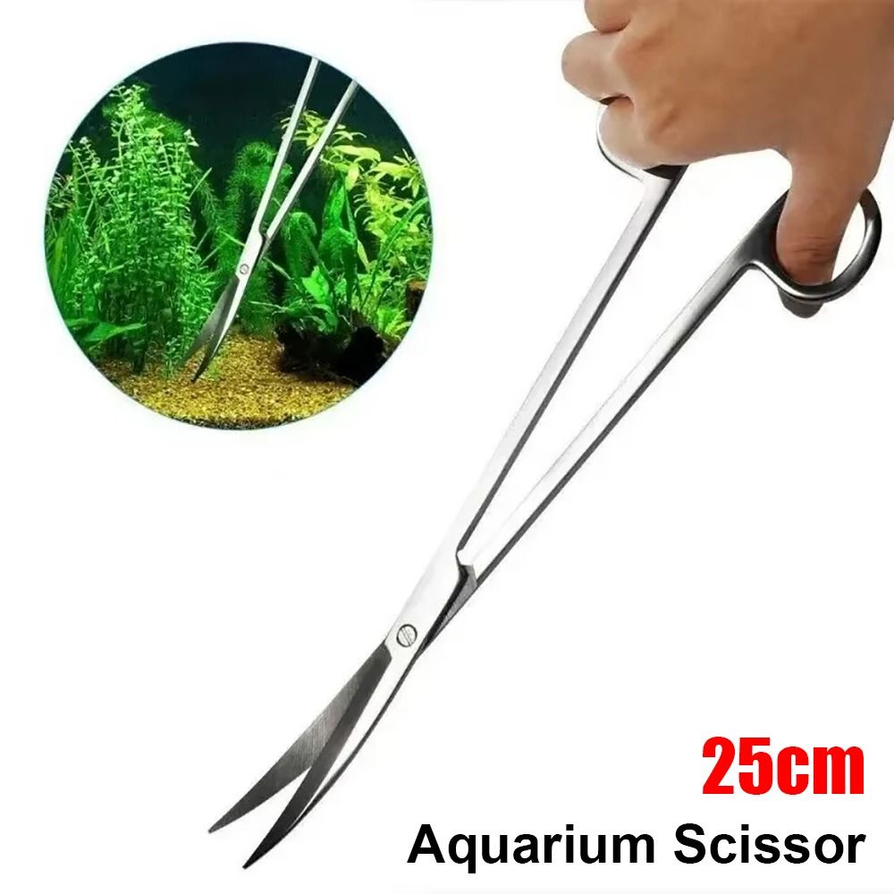 مقص حوض السمك من الفولاذ المقا - مراجعة Aquarium Plant Grass وسعره