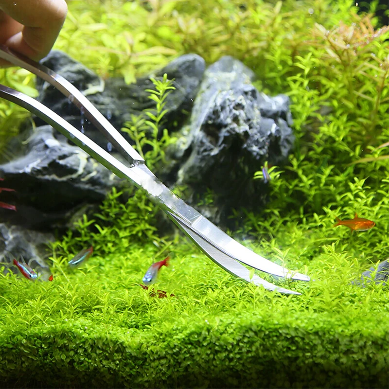 حوض السمك مقص أدوات خزان الأسم - مراجعة Aquarium Plant Grass وسعره