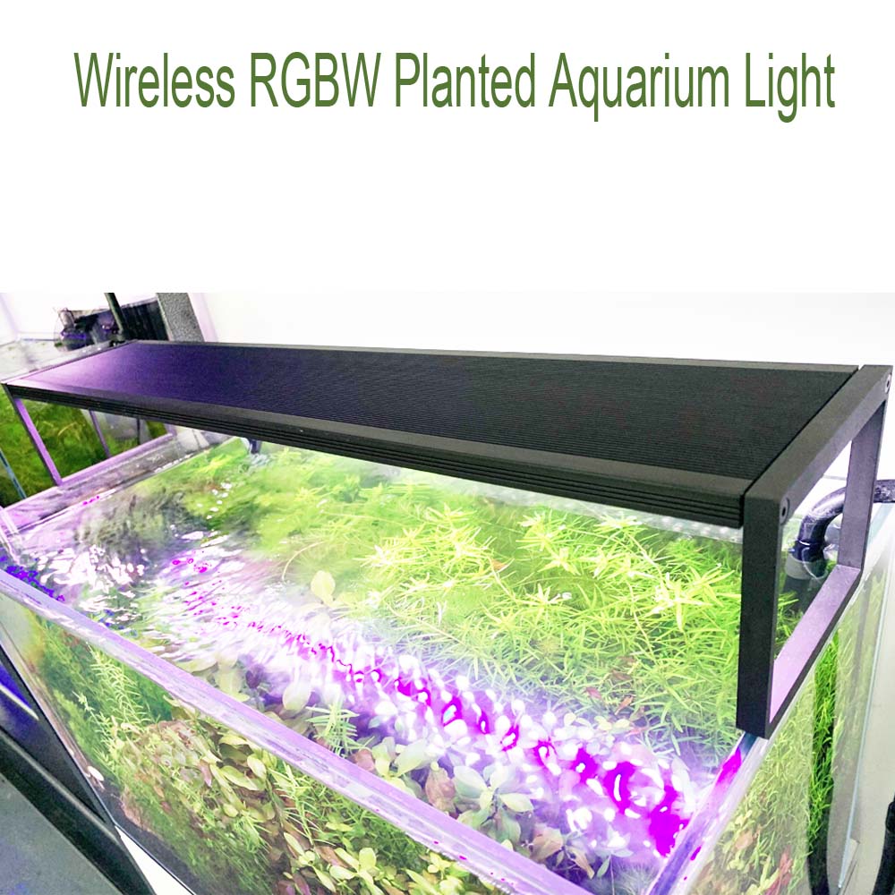 مصباح LED لحوض السمك Extreme I - مراجعة Aquarium Plant Grass وسعره