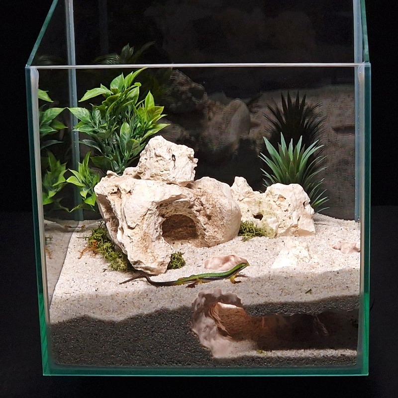 نفق حوض أسماك مطبوع ثلاثي الأب - مراجعة Aquasoil Substrate وسعره