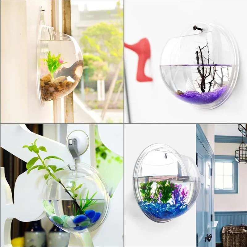 وعاء أكريليك معلق على الحائط ل - مراجعة Aquarium Plant Grass وسعره
