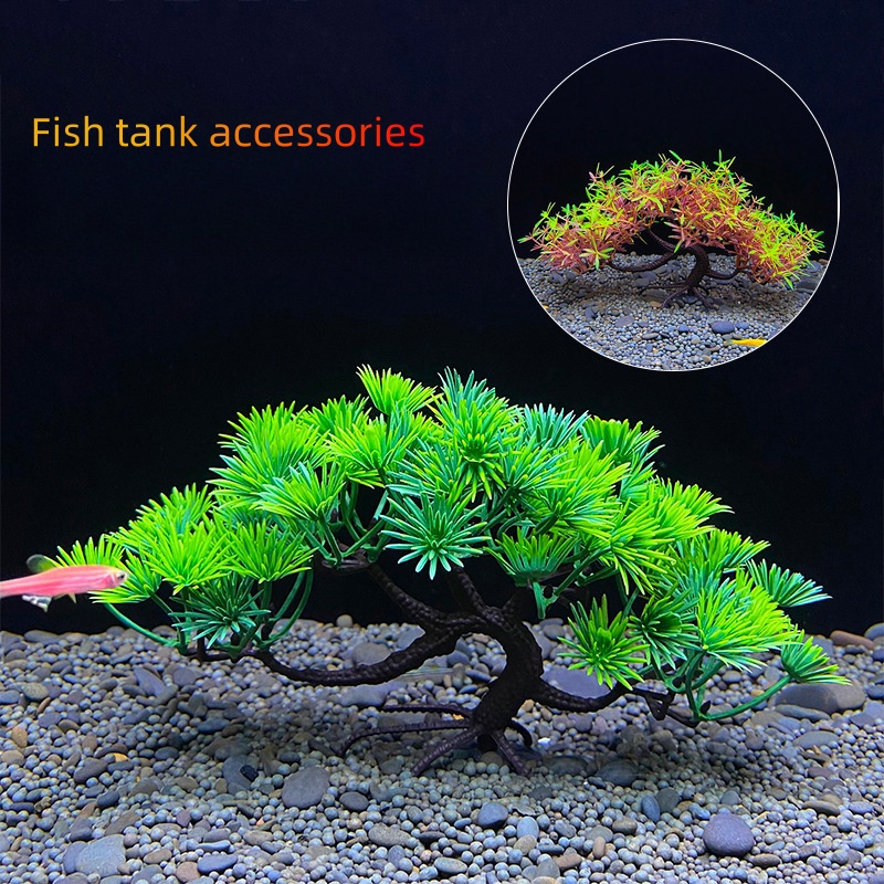 شجرة بونساي للحوض المائي، نبات - مراجعة Aquarium Planted Seeds وسعره