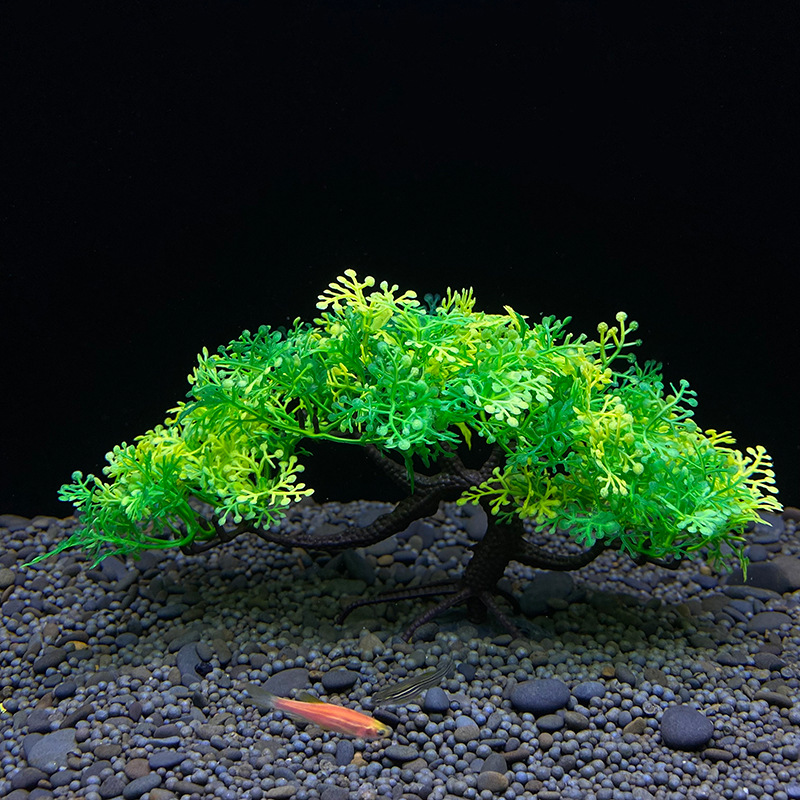 شجرة بونساي للحوض المائي، نبات - مراجعة Aquarium Planted Seeds وسعره