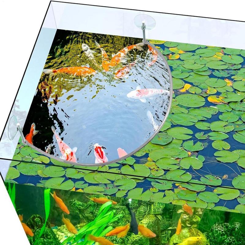 حلقة تغذية الأسماك المرجانية ل - مراجعة Planted Aquarium Materials وسعره