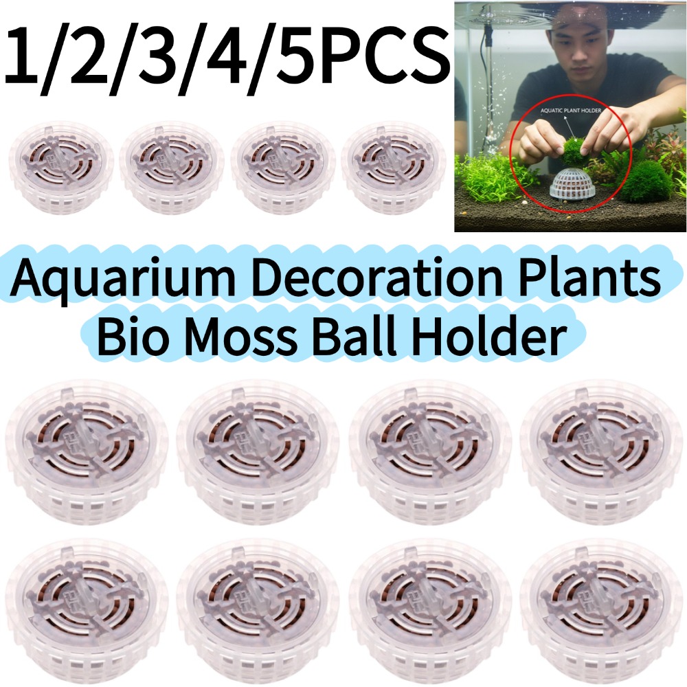 1-5 قطع من نباتات الزينة للأحو - مراجعة Aquarium Plant Red وسعره
