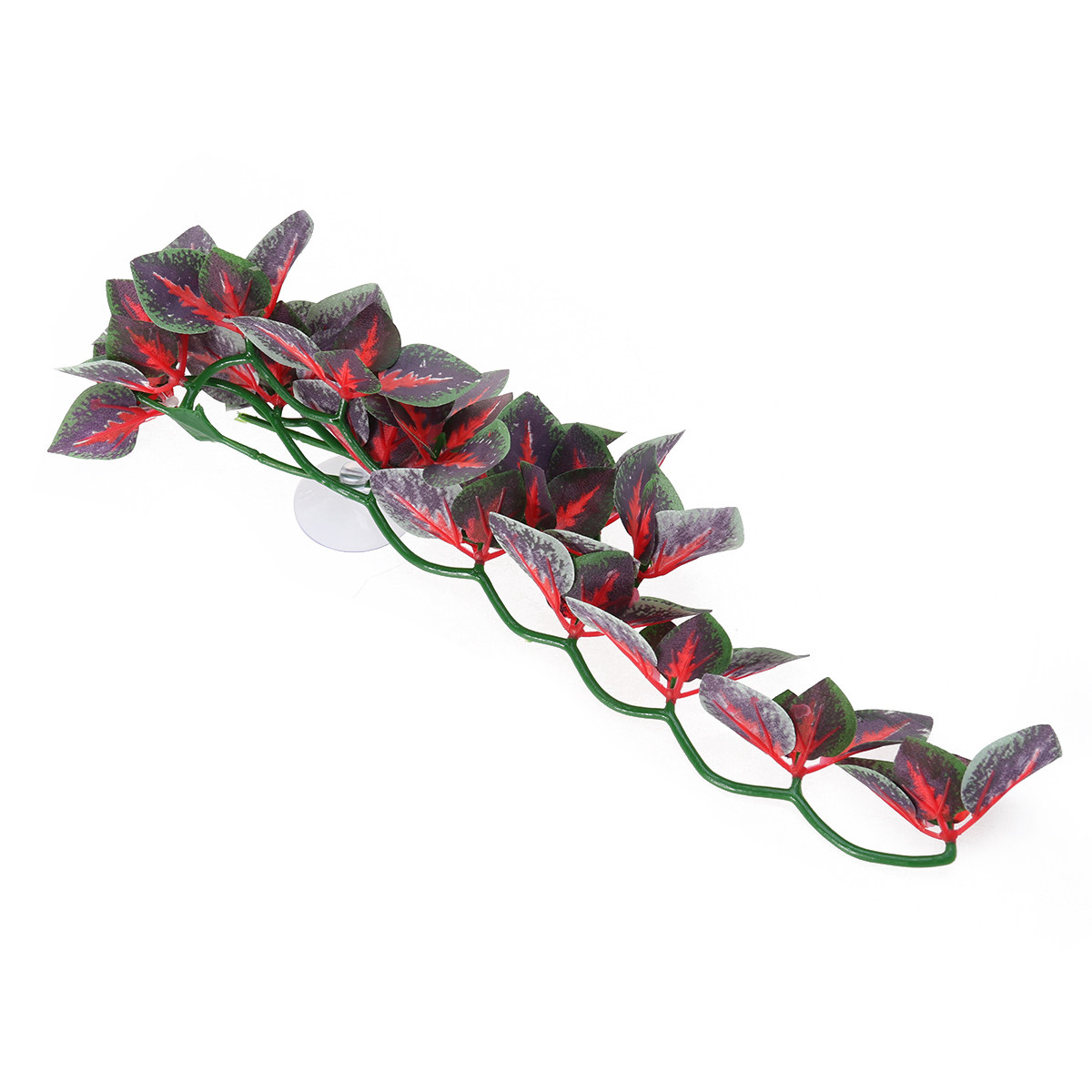 زينة حوض السمك، نباتات مائية ا - مراجعة Aquarium Plant Red وسعره