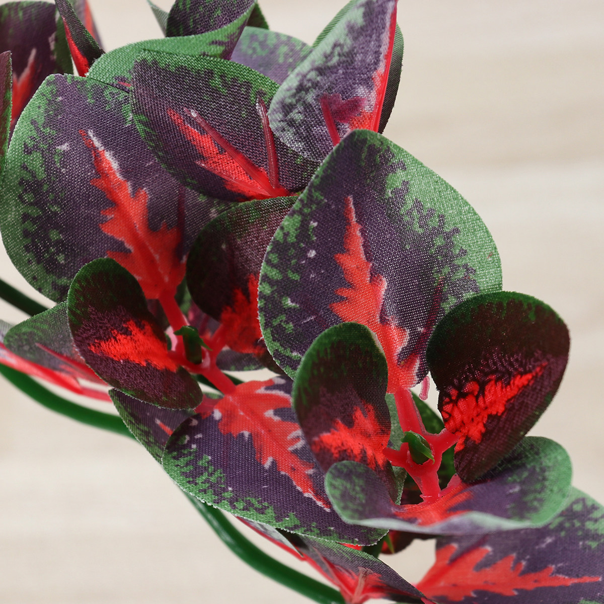 زينة حوض السمك، نباتات مائية ا - مراجعة Aquarium Plant Red وسعره