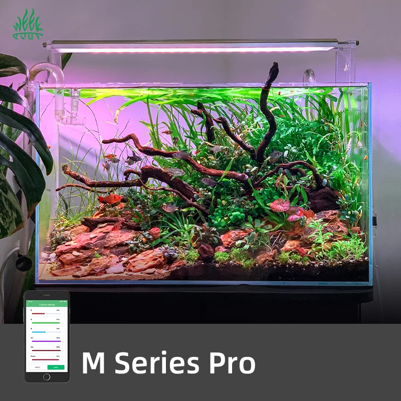 مصباح حوض السمك الذكي ZXY WEEK - مراجعة Aquarium Plants For Sale وسعره