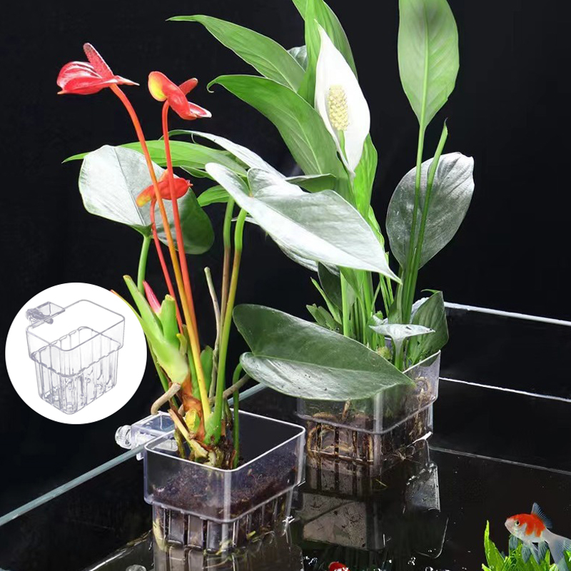 حوض السمك متعدد الوظائف ، كوب  - مراجعة Aquarium Plant Grass وسعره