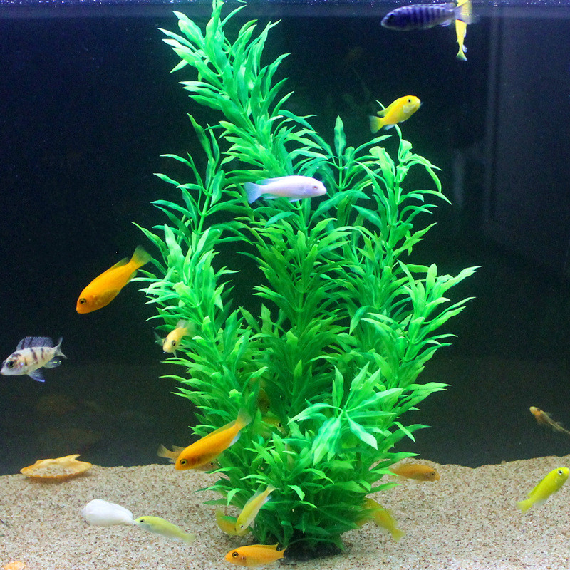 نباتات اصطناعية نادرة لأحواض ا - مراجعة Aquarium Plant Grass وسعره