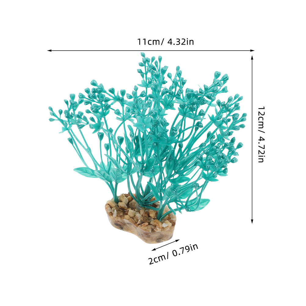 قطعتان من نباتات الأكواريوم ال - مراجعة Aquarium Planted Tank Setup وسعره