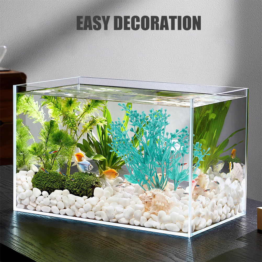 قطعتان من نباتات الأكواريوم ال - مراجعة Aquarium Planted Tank Setup وسعره