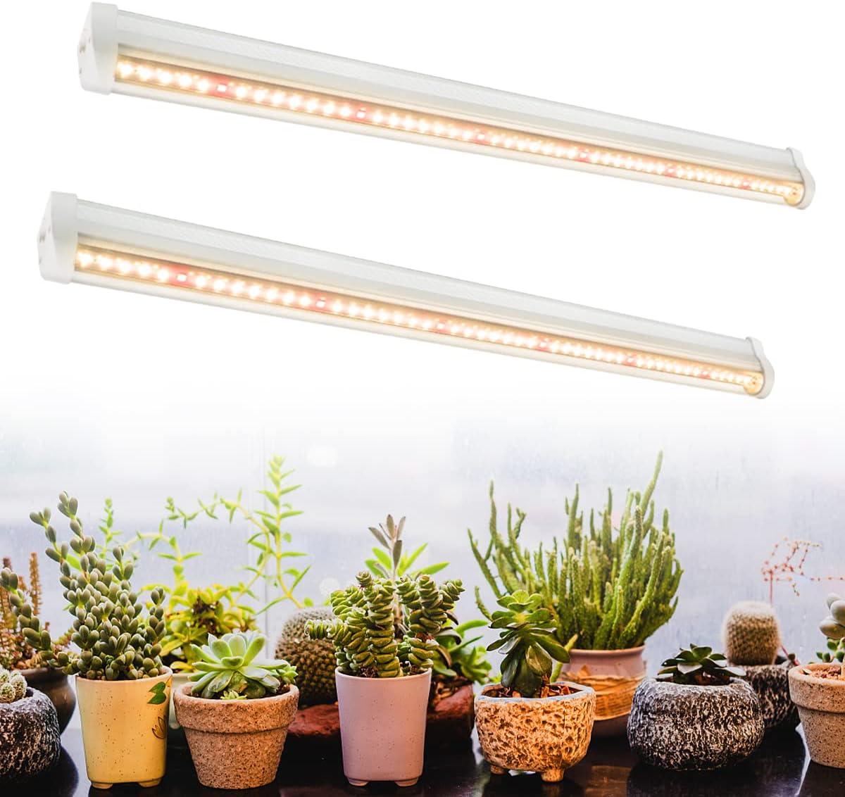 مصباح LED للنمو النباتي بطيف ك - مراجعة Aquarium Planted Seeds وسعره