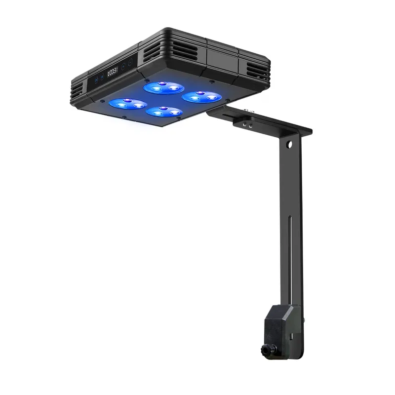 جاكو A052 52 واط - إضاءة LED ل - مراجعة Aquarium Plants For Sale وسعره