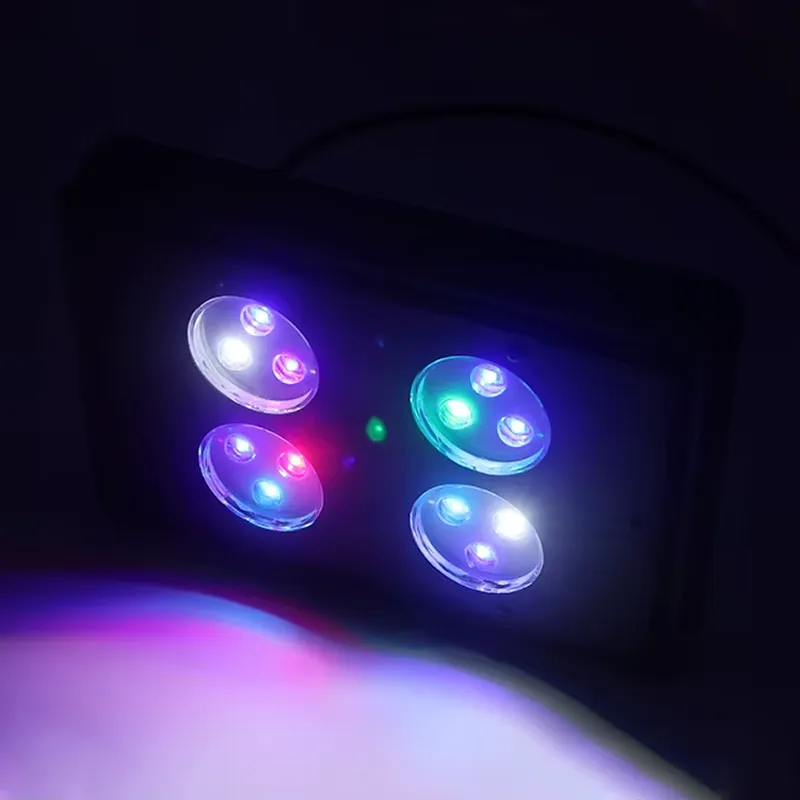 جاكو A052 52 واط - إضاءة LED ل - مراجعة Aquarium Plants For Sale وسعره