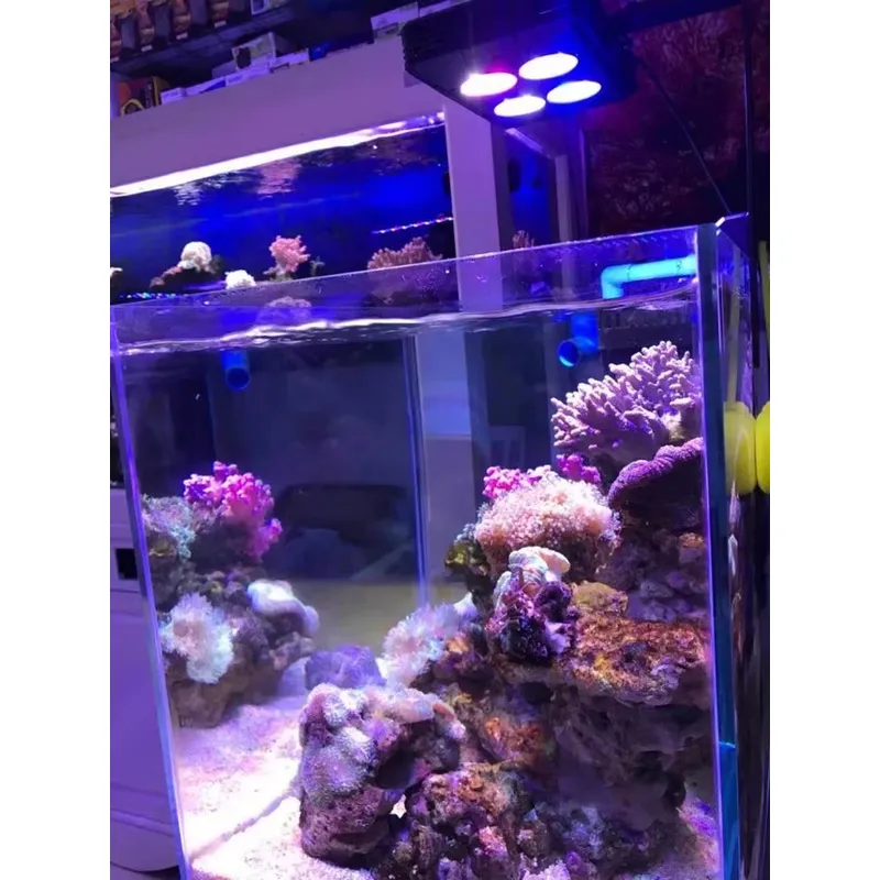 جاكو A052 52 واط - إضاءة LED ل - مراجعة Aquarium Plants For Sale وسعره
