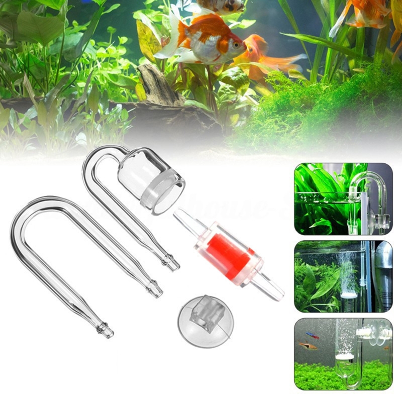 ناشر CO2 لحوض السمك ، خزان زجا - مراجعة Aquarium Plant Grass وسعره