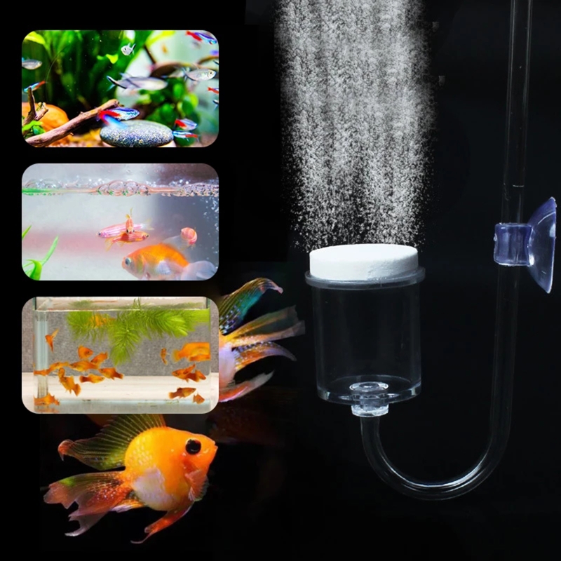 ناشر CO2 لحوض السمك ، خزان زجا - مراجعة Aquarium Plant Grass وسعره