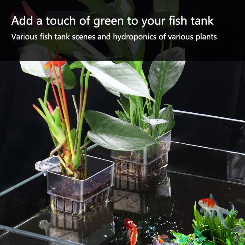 أكواب زراعة مائية للأحواض الما - مراجعة Aquarium Planted Tank Setup وسعره