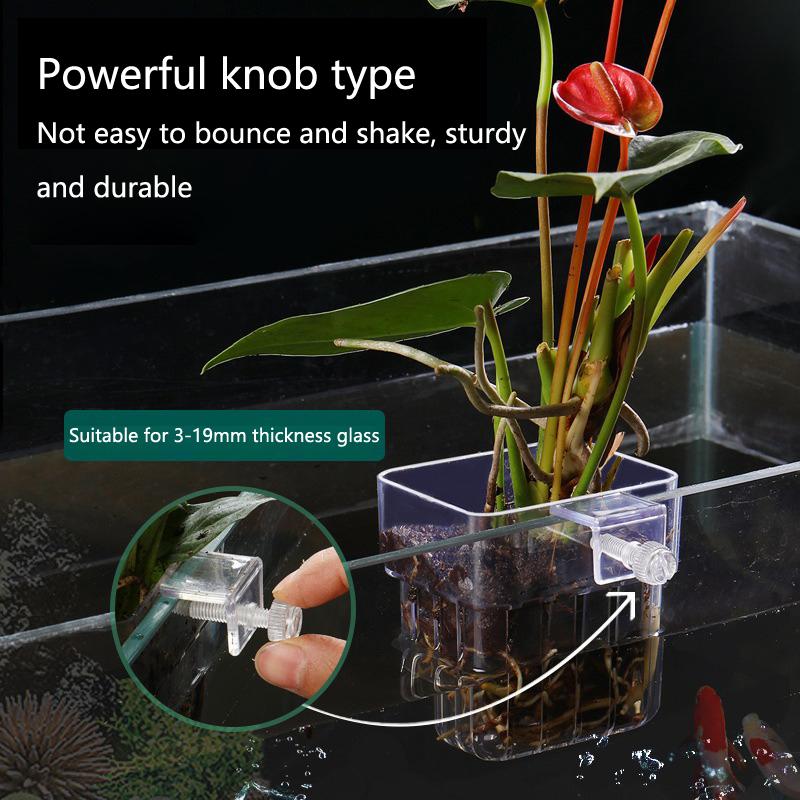 أكواب زراعة مائية للأحواض الما - مراجعة Aquarium Planted Tank Setup وسعره